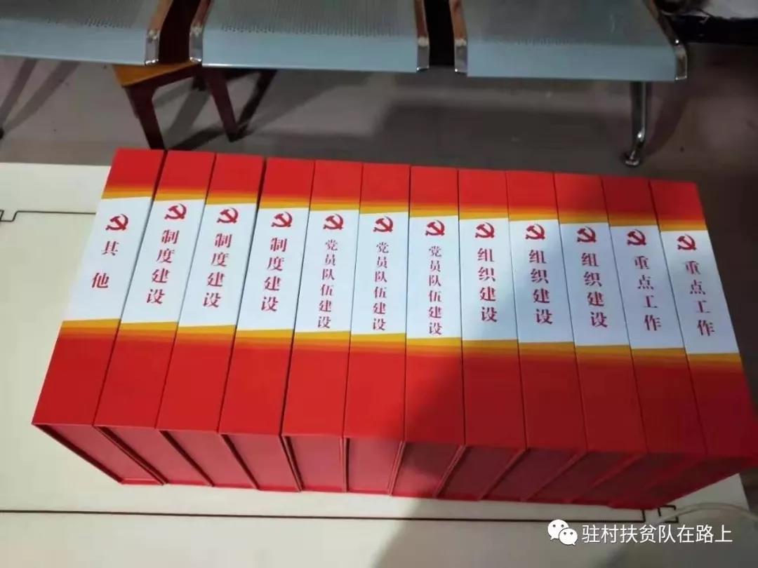 (农投公司驻村队整理村级党建台账)